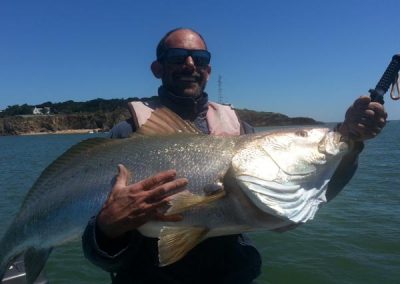 Le plus gros poisson